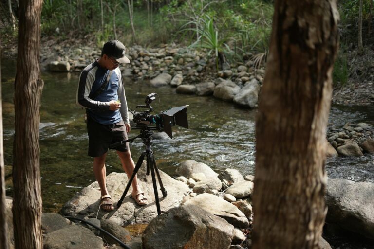 The Impact of Streaming on Independent Filmmaking: A Case Study on The Florida Project (2017) - Featured image