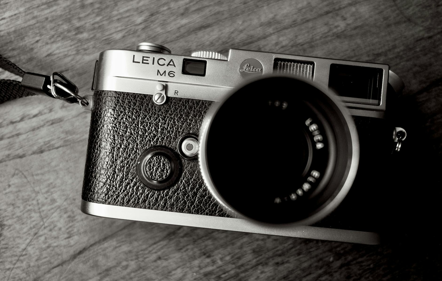 The Psychology Behind Cult Film Endings and Audience Obsession