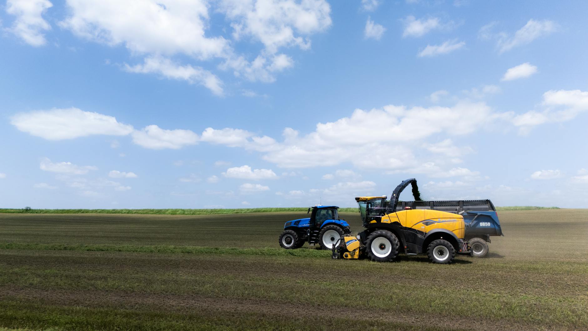 The Psychology Behind Effective Horror Jump Scares in Low-Budget Films