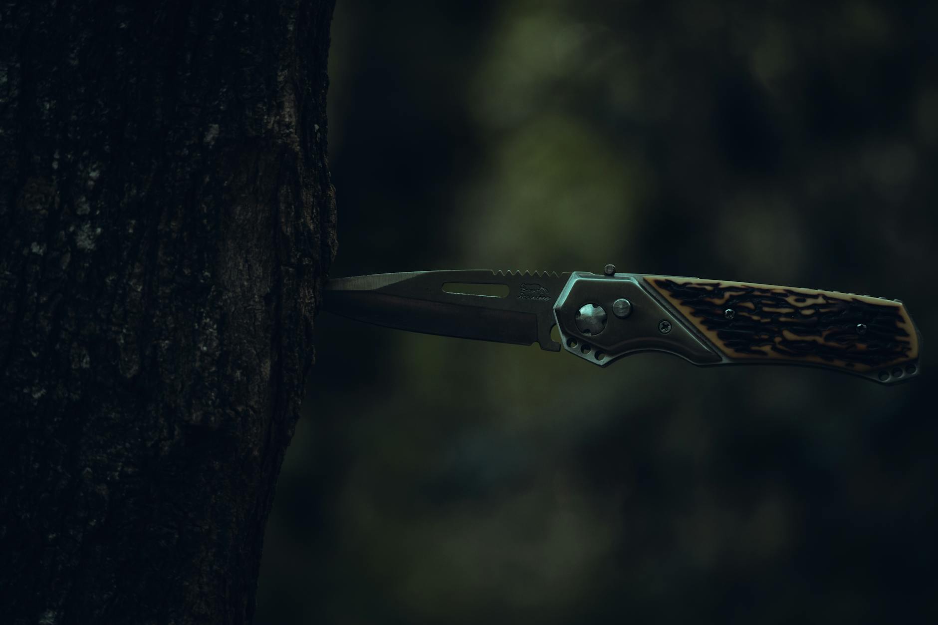 The Risks and Challenges of Political Comedy in Film