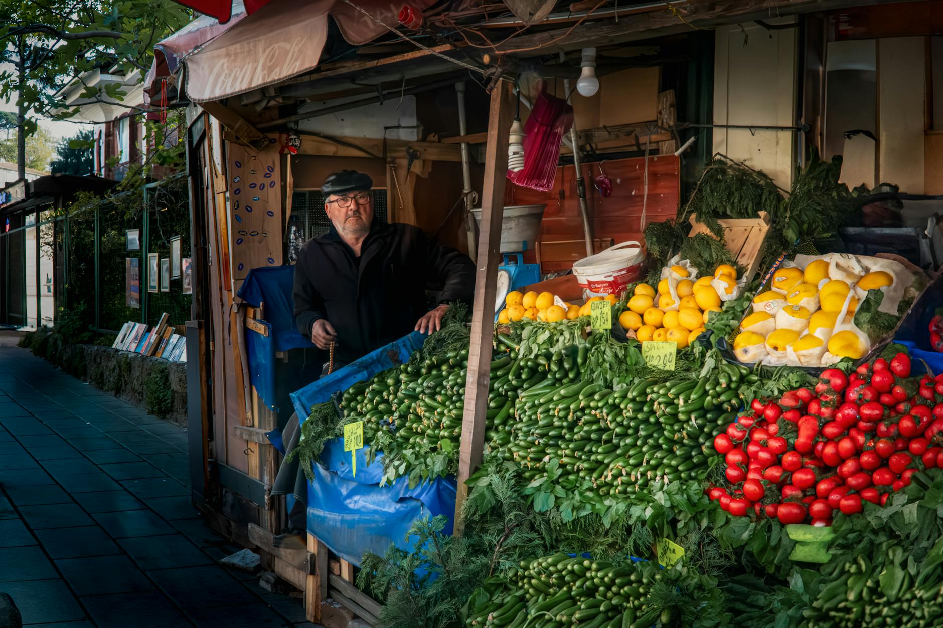 The Sully Children and the Next Generation of Pandora's Defenders