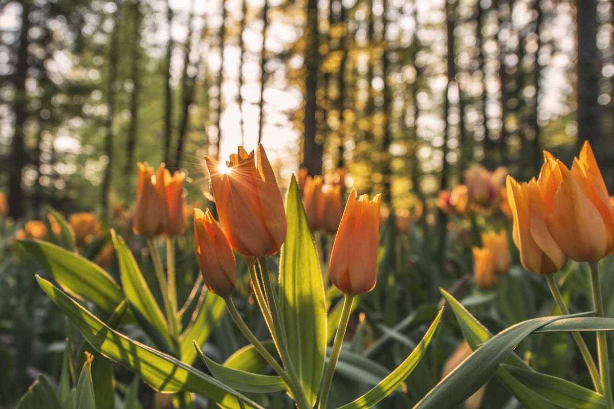 Thematic Elements and Mature Subject Matter for Family Discussion