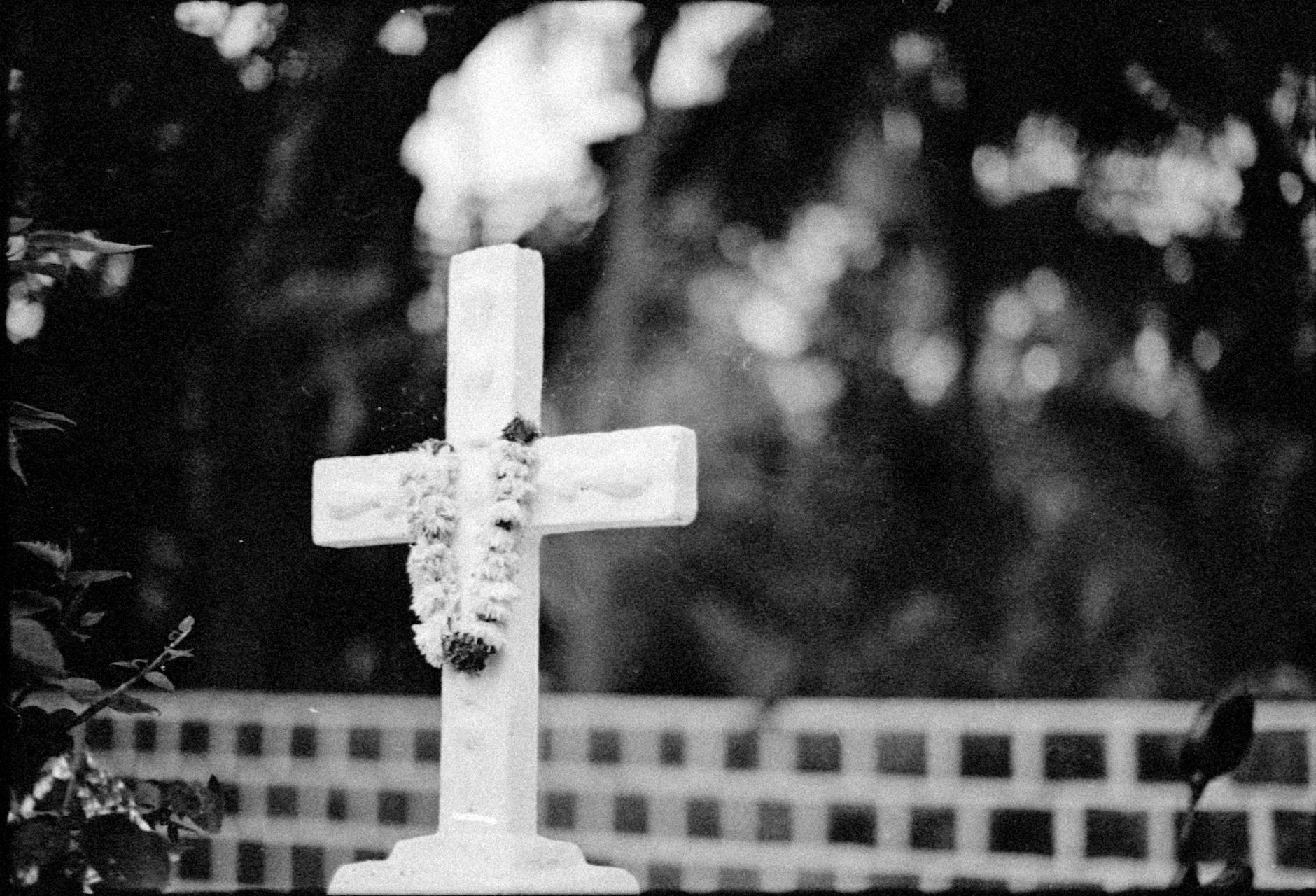 Themes of Memory and Identity in Eternal Sunshine