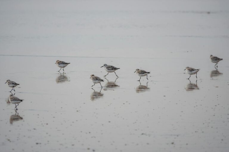 Top 5 Animated Films to Watch in 2025 - Featured image