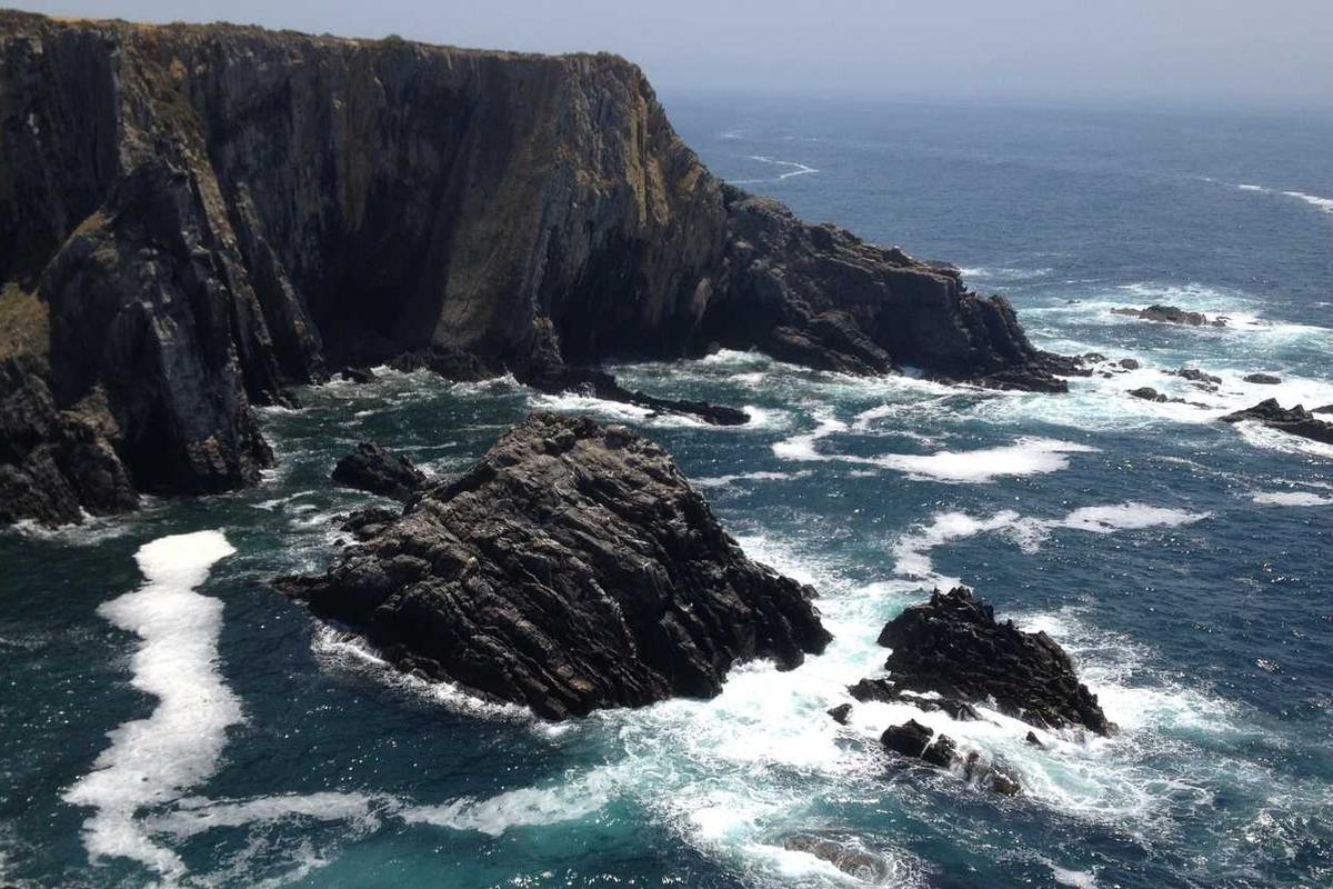 Understanding the Emotional Intensity and Thematic Content