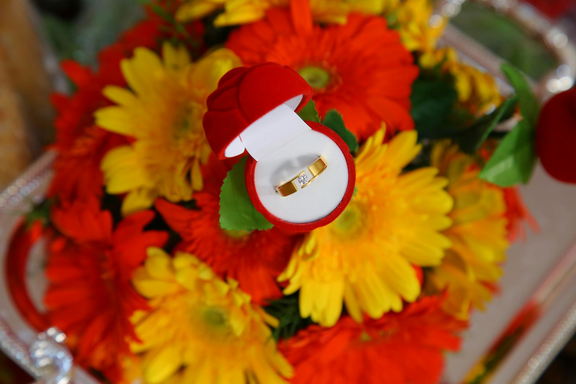 Understanding the Metal Flower: Symbolism in the District 9 Finale