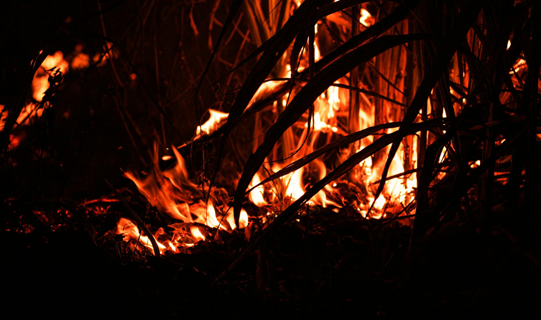 Violent and Intense Scenes in Avatar Fire and Ash Detailed Analysis