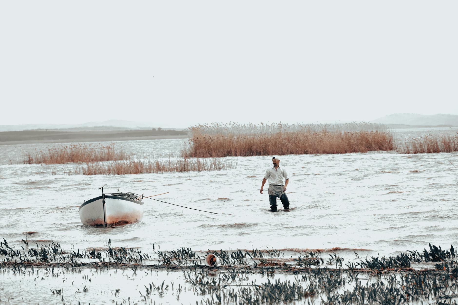 What Age Is Appropriate for Kingdom of the Planet of the Apes?