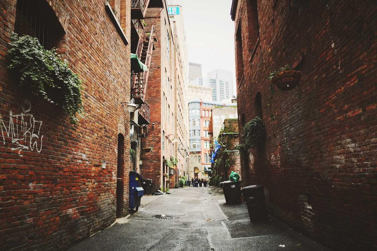 What Age Is Appropriate for Watching No Other Choice?