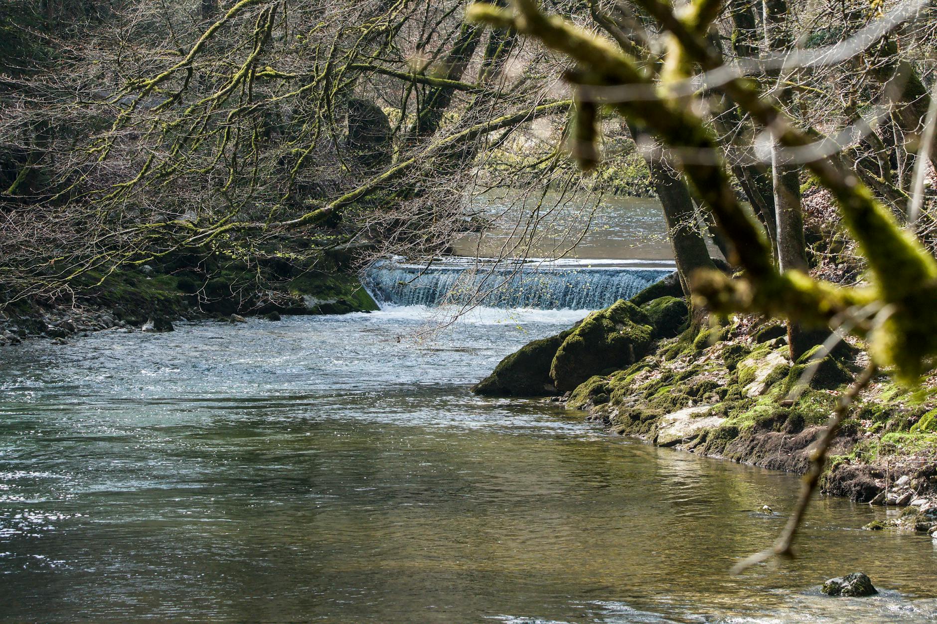 What Age Is Appropriate for Watching Snow White with Your Family?