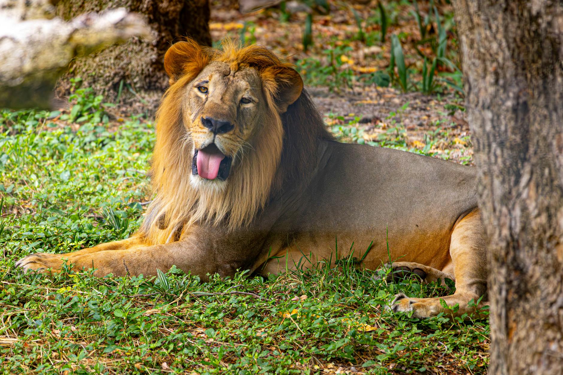 What Are the Biggest Must-See Movie Releases of 2025?