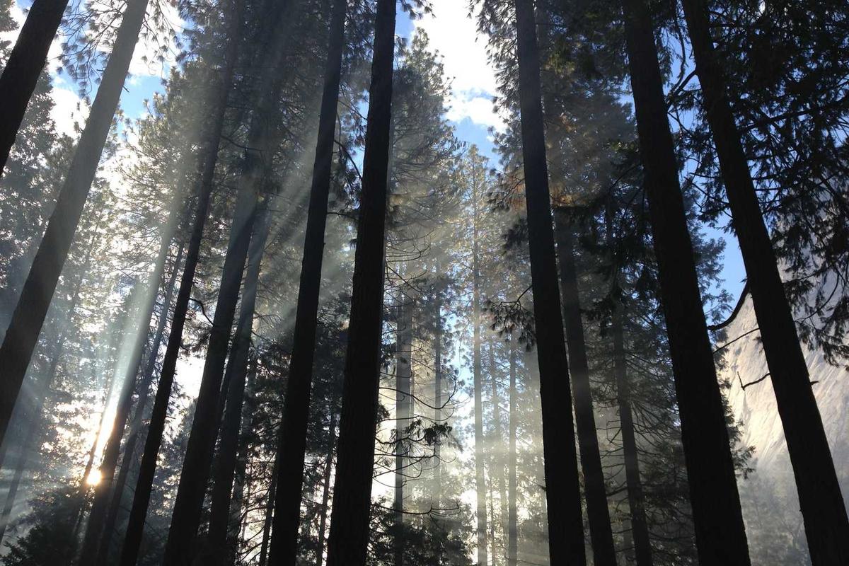 What Are the Most Anticipated Blockbusters of 2025?