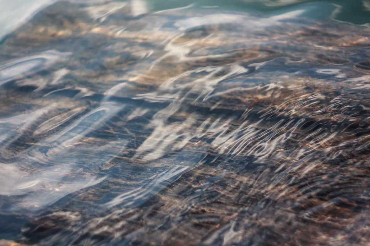 What Are the Most Anticipated Action Movies Coming in 2025?