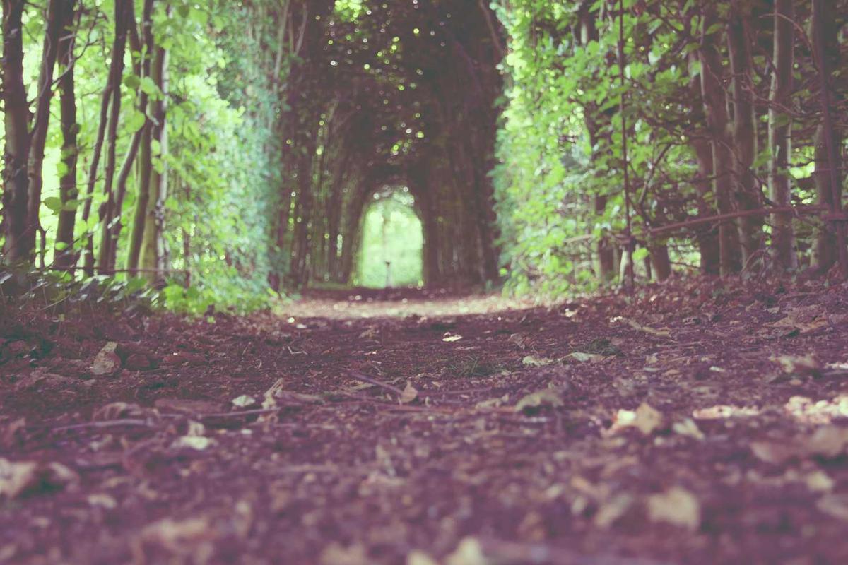 What Are the Most Anticipated Romantic Comedies Coming to Theaters in 2025?