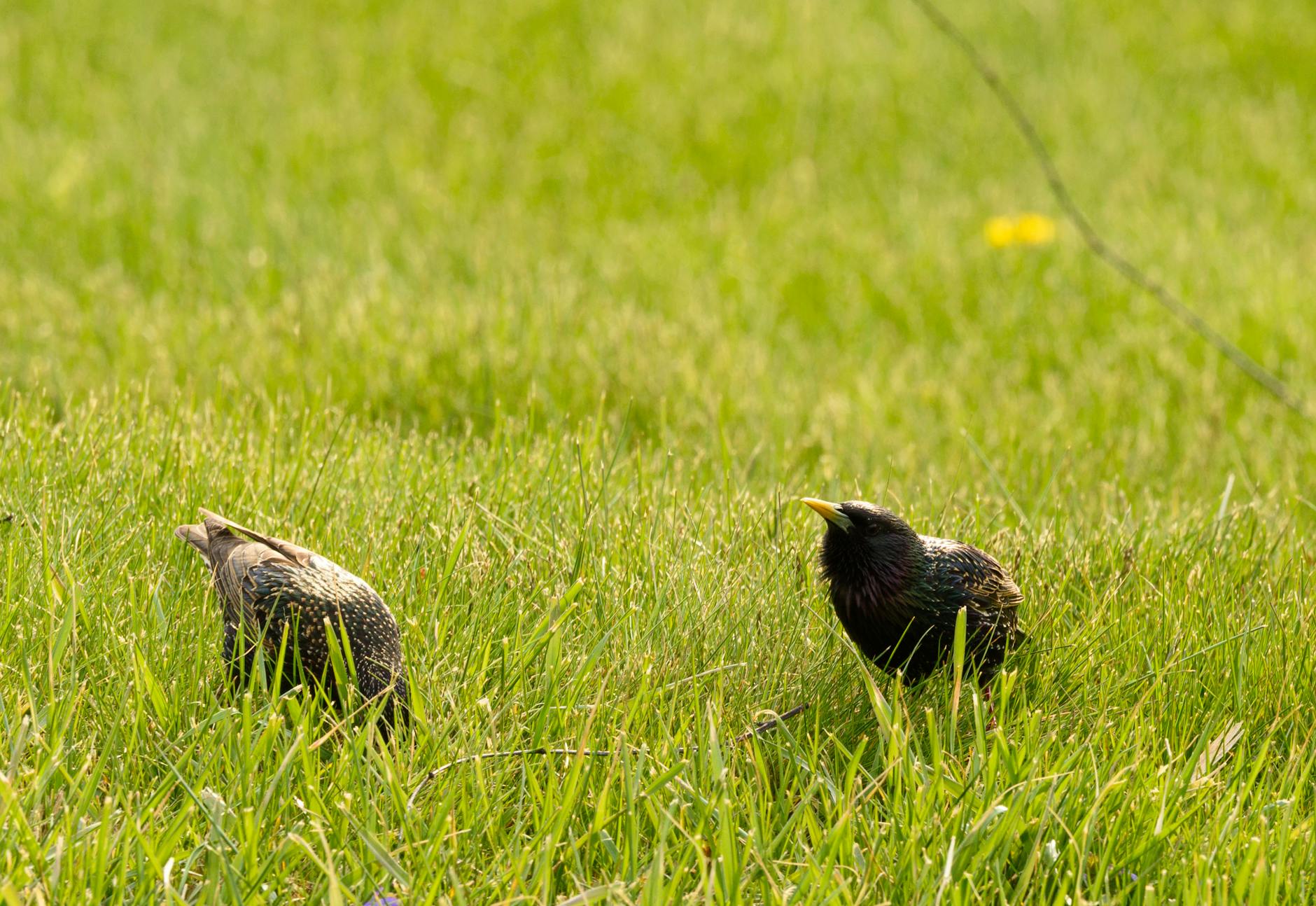 What Are the Most Common Streaming Account Problems People Need Help With?