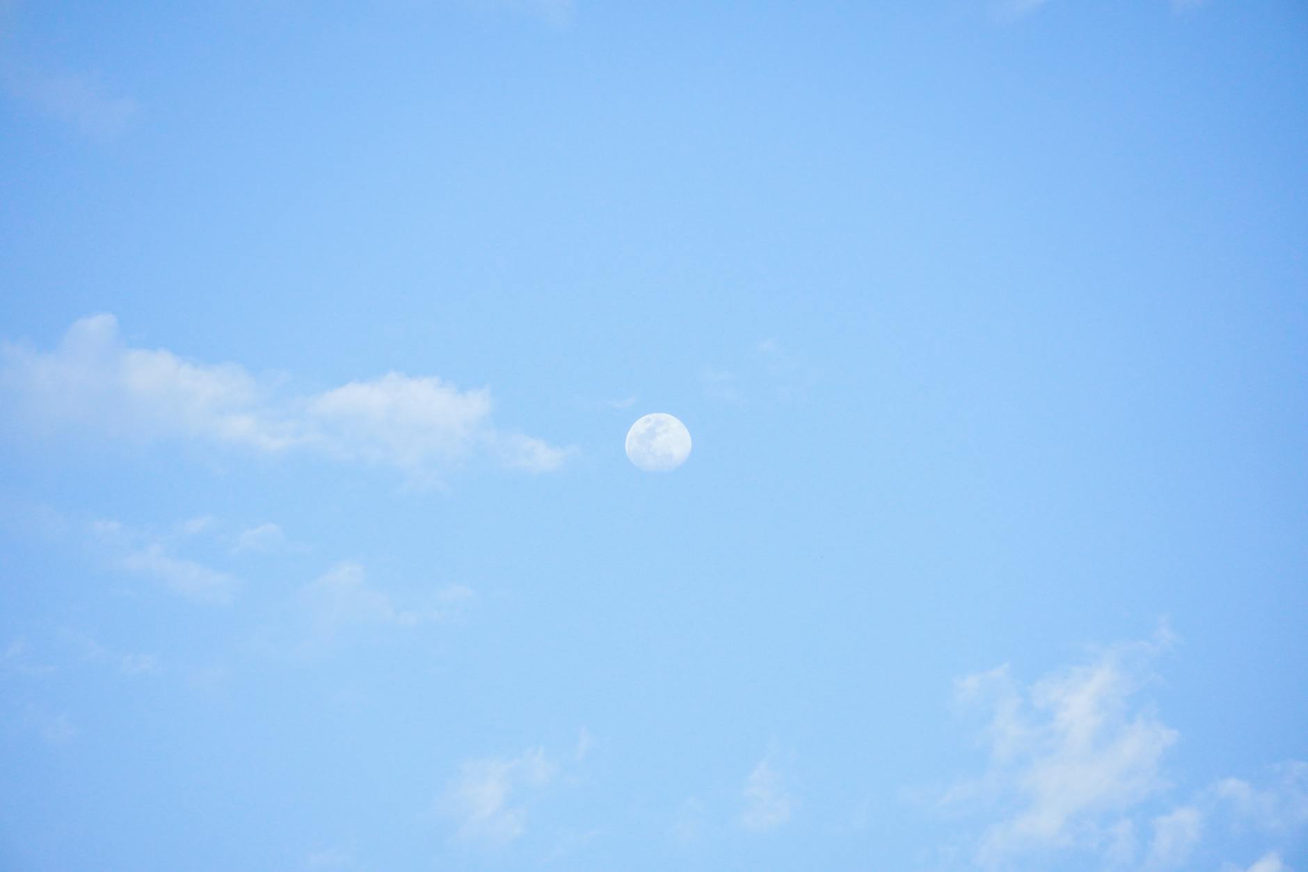 What Does the Blue Moon Family Content Guide Cover?