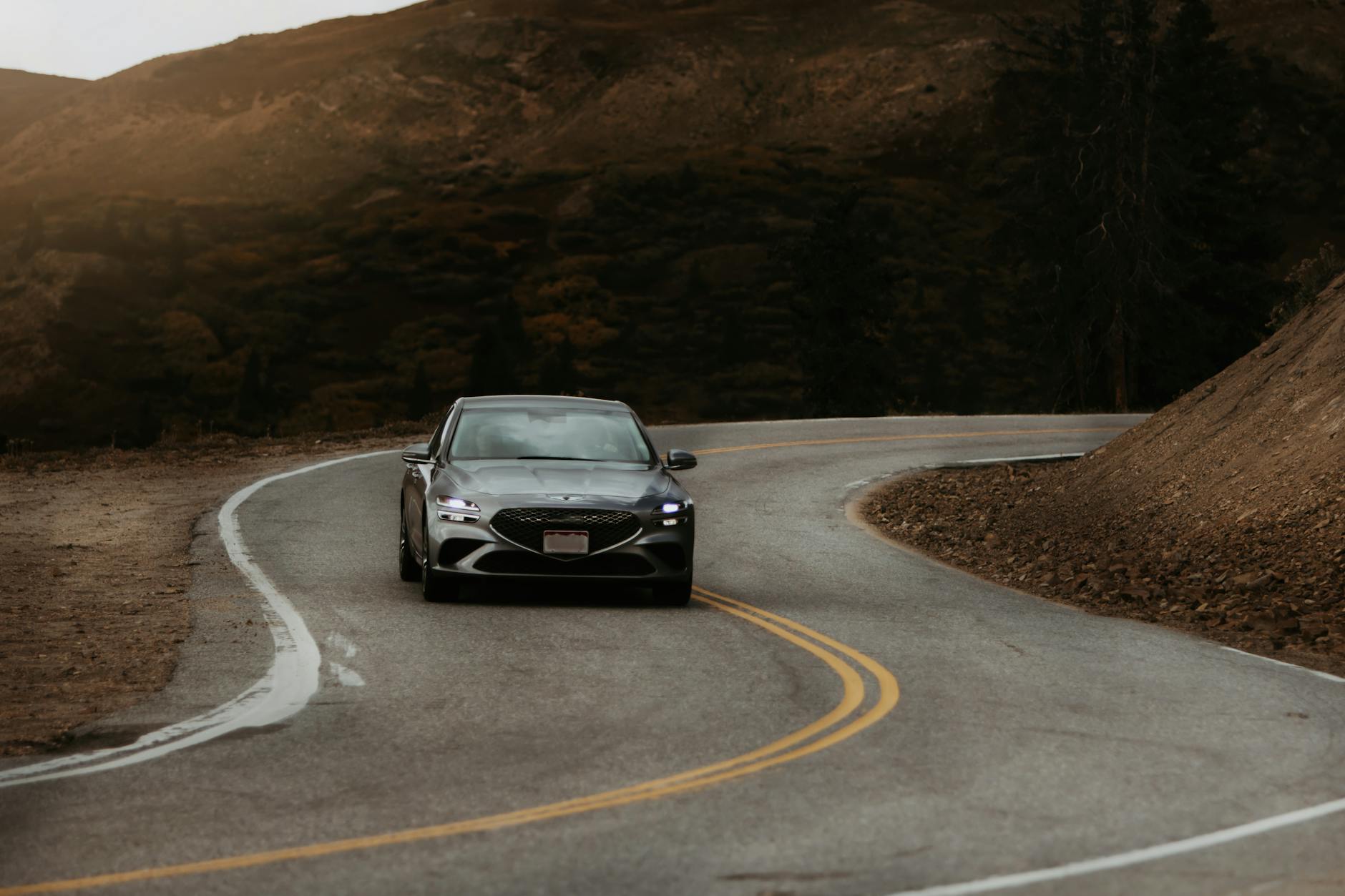 What Drives Fans to Create Theories About Iconic Films?