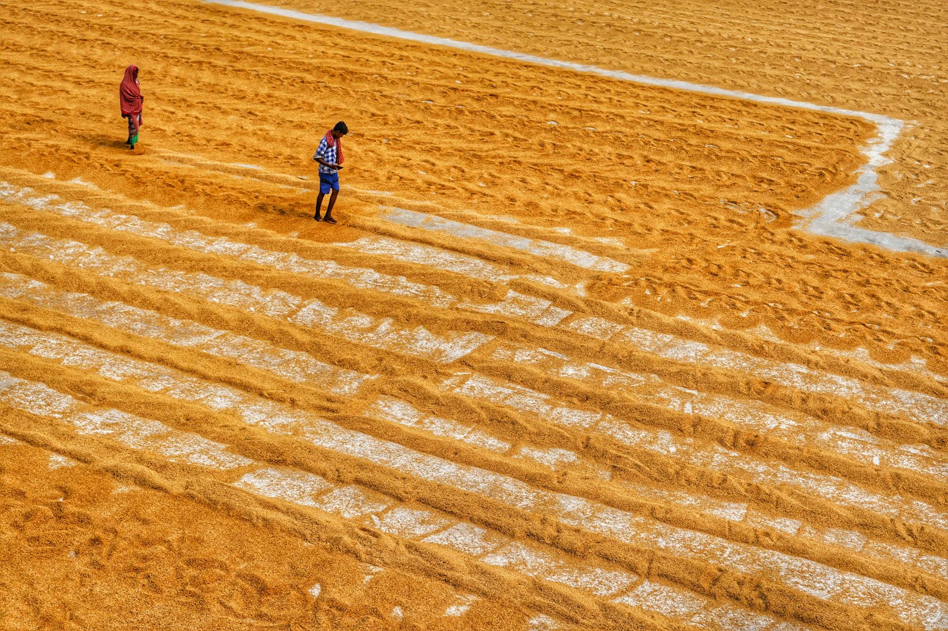 What Drove Me to Cancel All My Streaming Services in 2025?