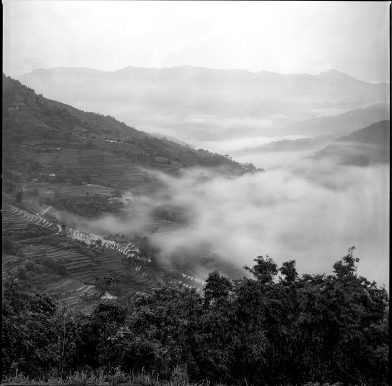 What Film Has a Twist Hidden in the Opening Scene - Featured image