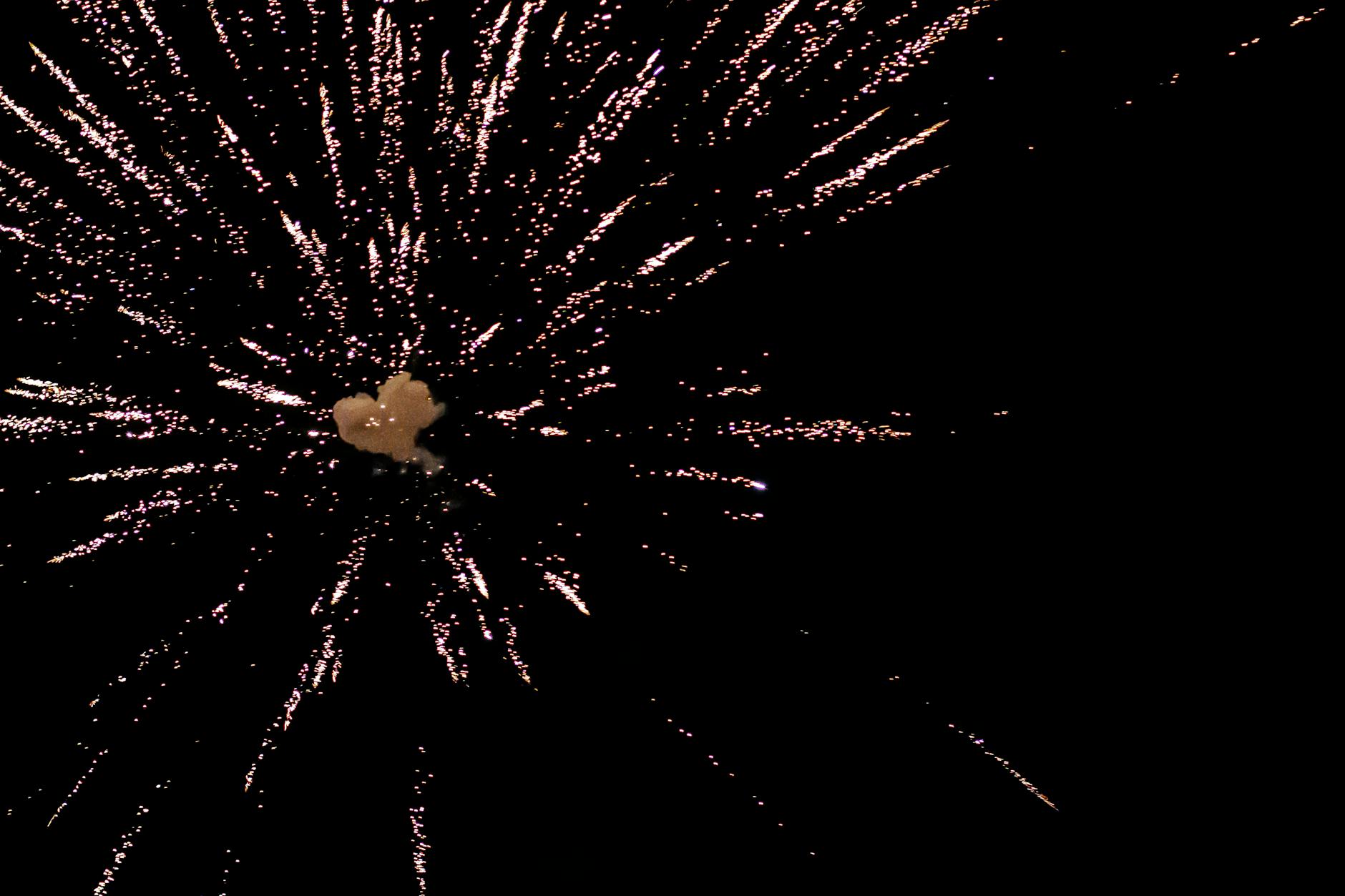 What Happens in the Final Scene of Children of Men?