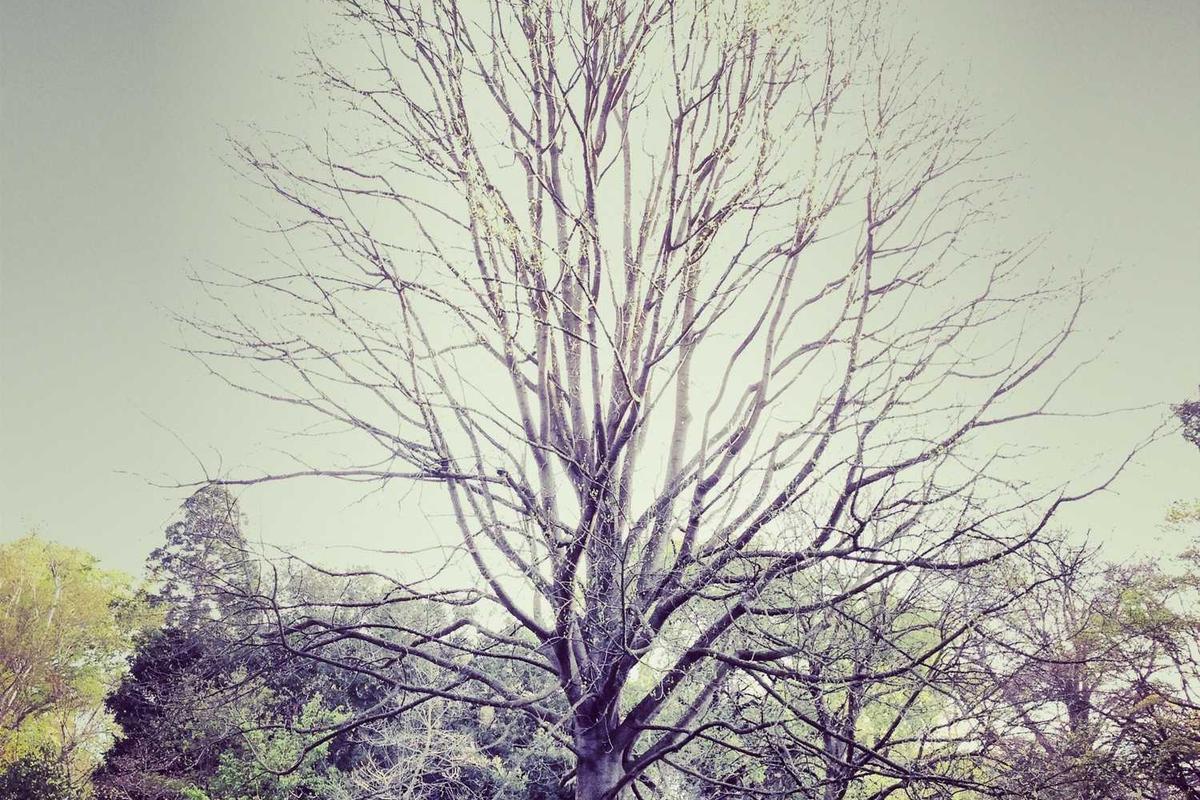 What Is the Age Rating for Jay Kelly and What Does It Mean?