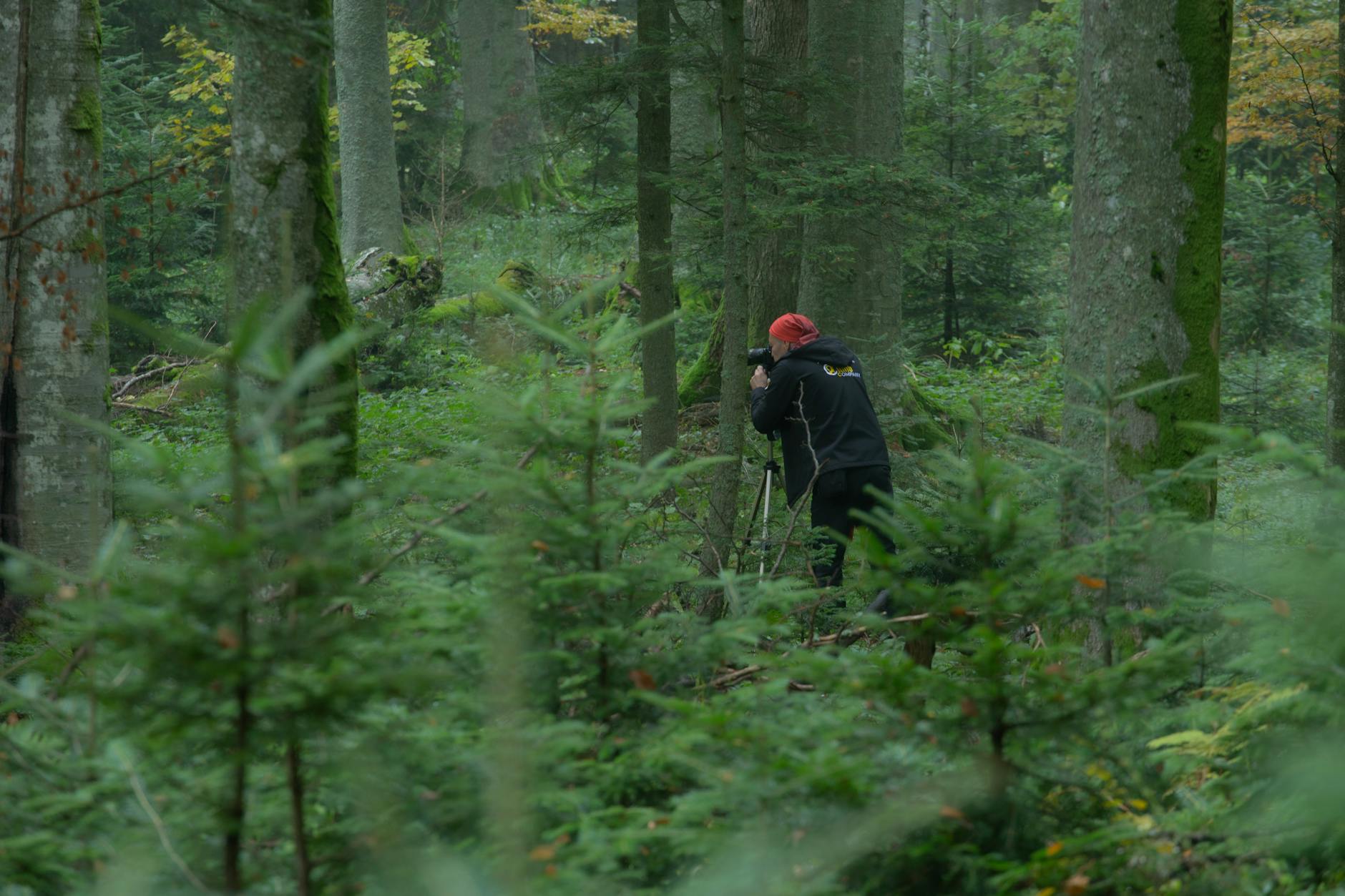 What Is the Expected Rating for Avatar Fire and Ash and What Does It Mean for Parents?