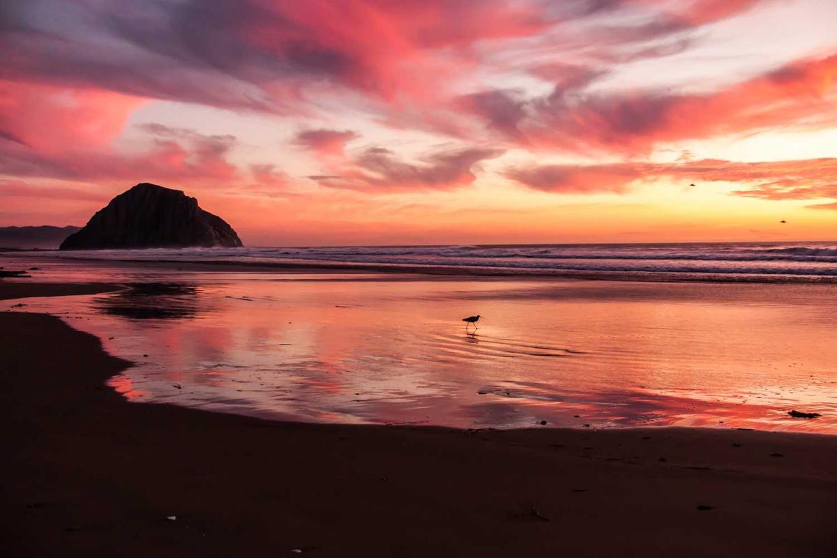 What Is the Official Age Rating for Little Trouble Girls?