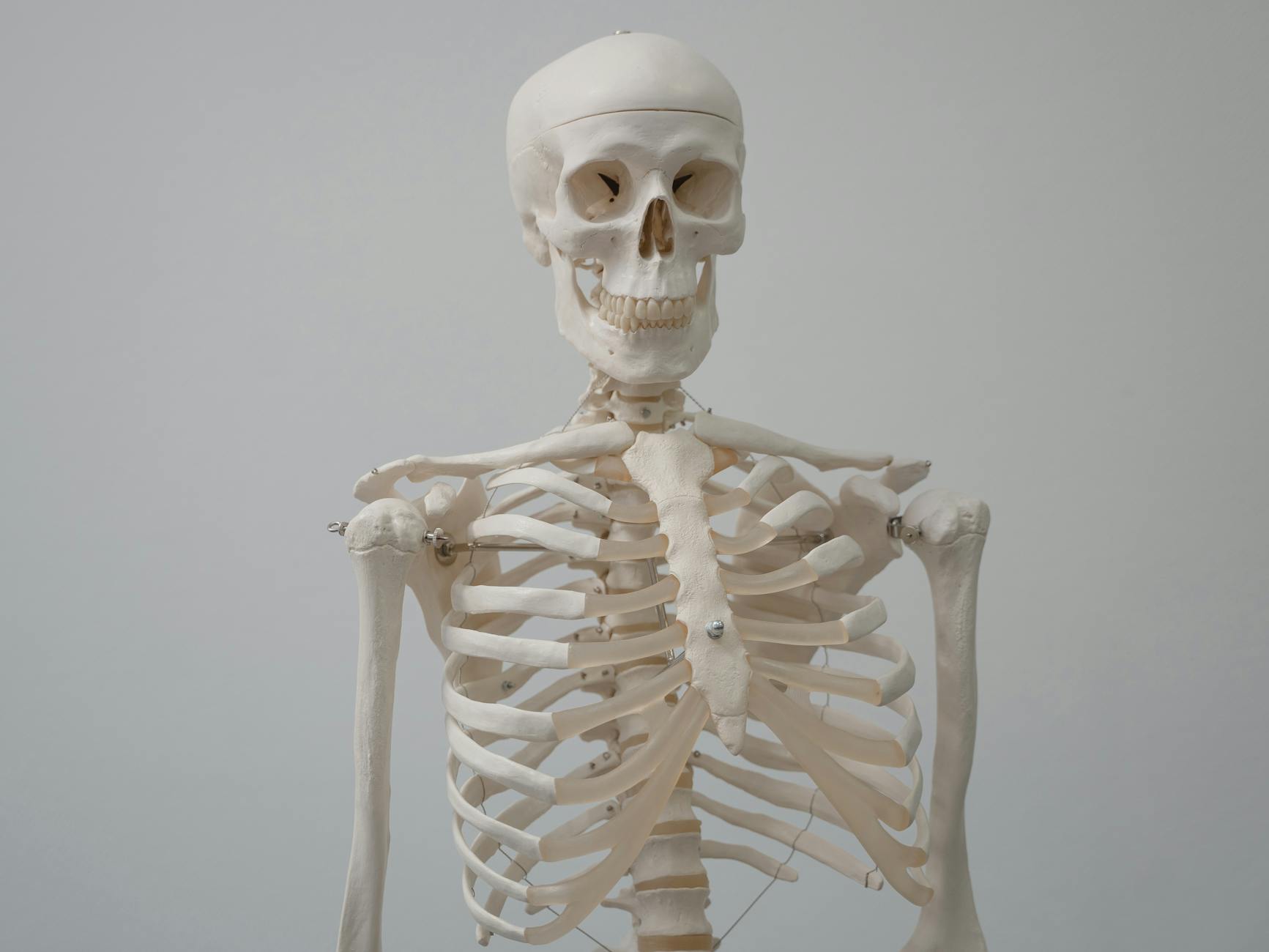 What Made Skeleton Crew Stand Out in Star Wars Search Traffic?