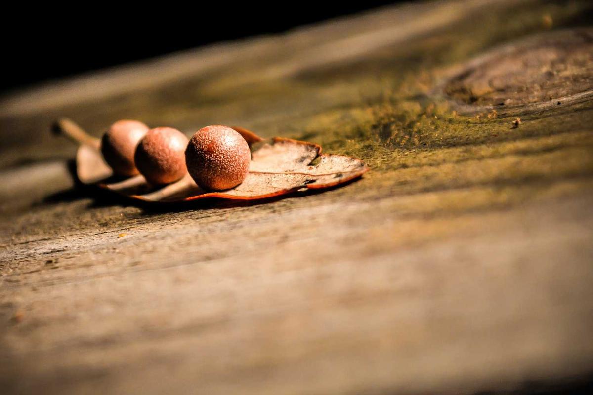 What Makes a Horror Movie Sequel Worthy of Being Called One of the Best?