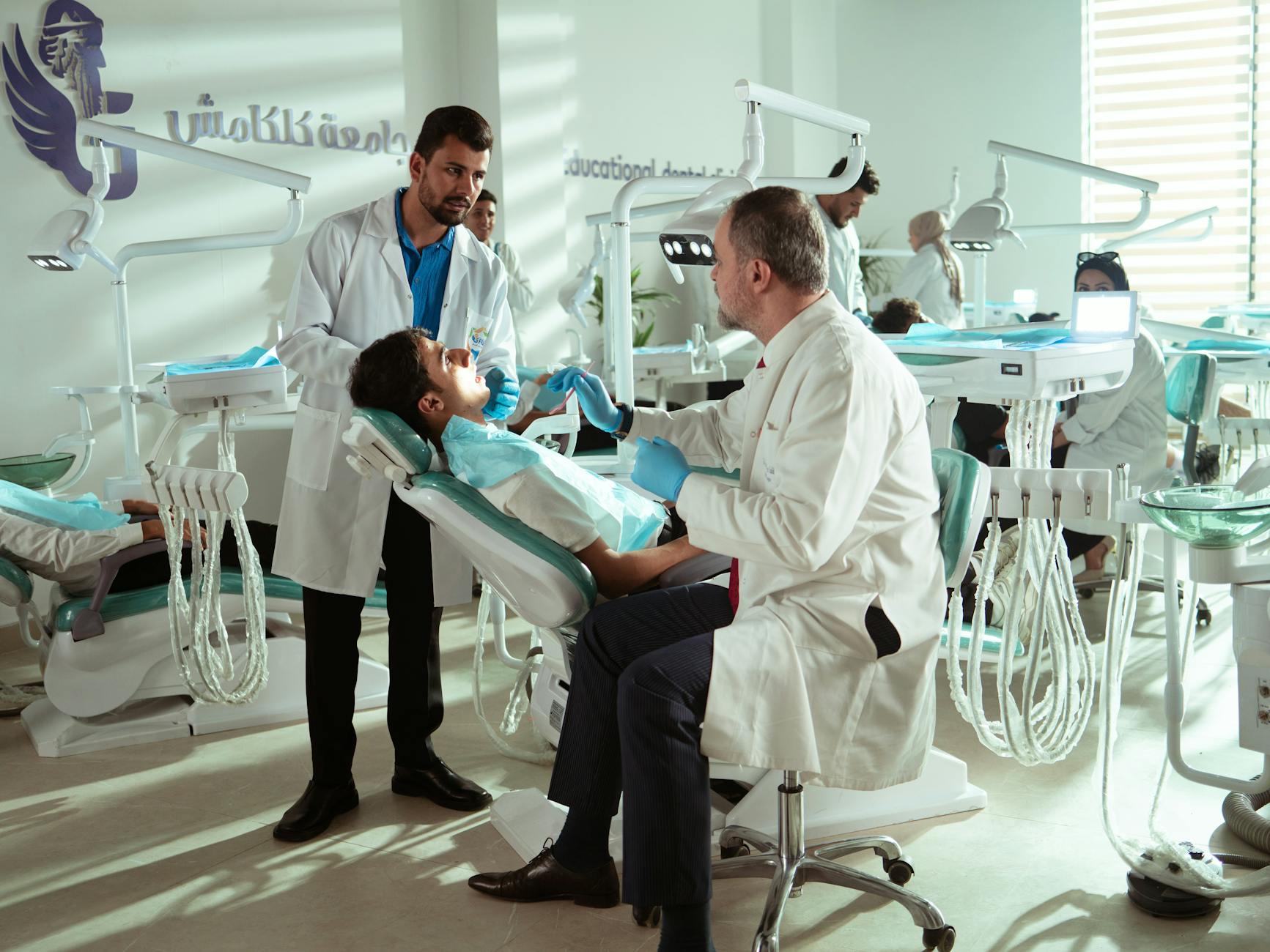 What Makes Director-Actor Collaborations Between Filmmakers and Performers So Successful?