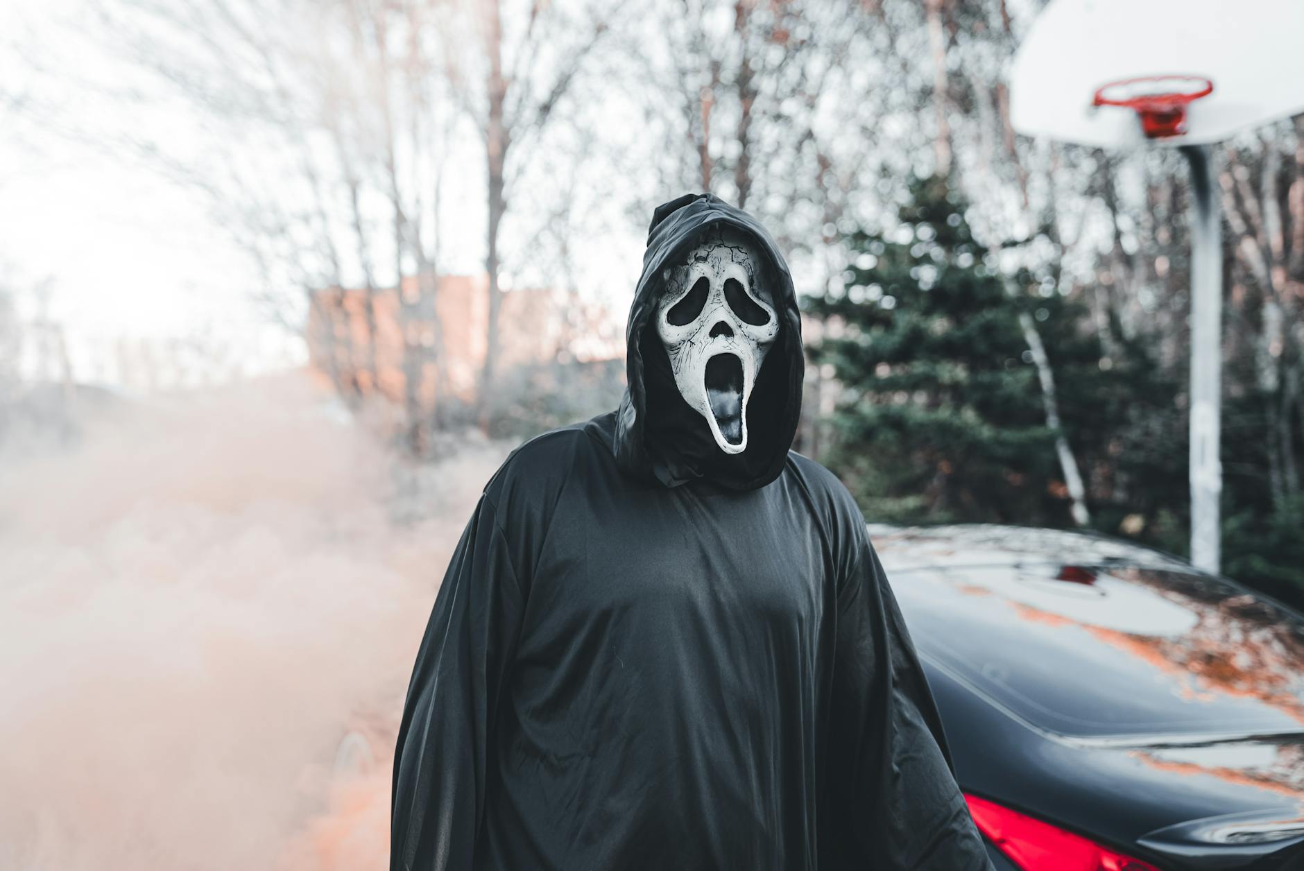 What Makes Horror Cinema Plot Twists So Psychologically Effective?