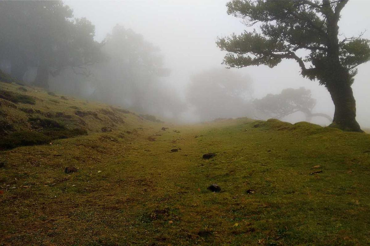 What Makes Indie Horror Film Locations So Uniquely Terrifying?