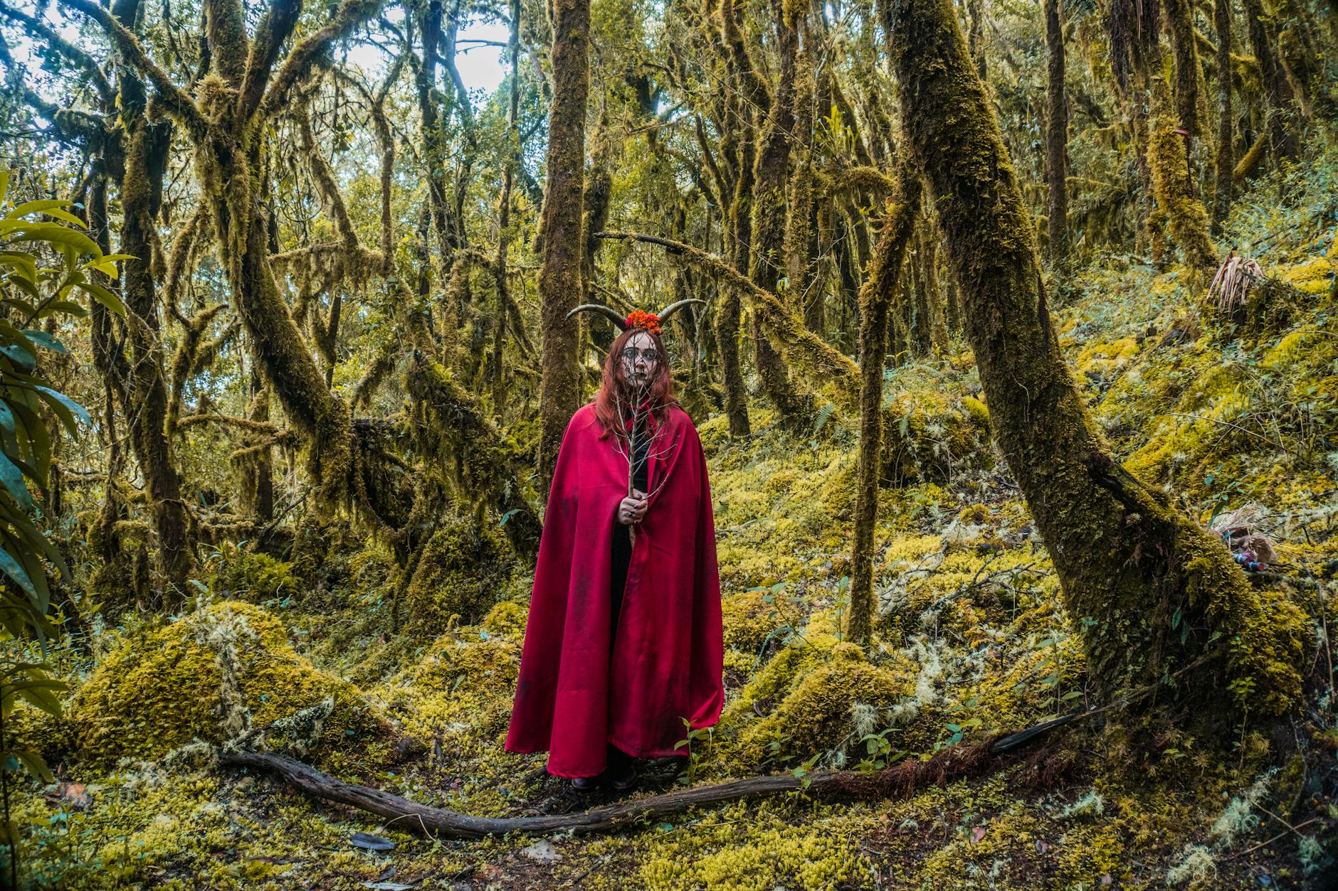 What Makes Paranormal Investigation Documentaries Worth Watching?