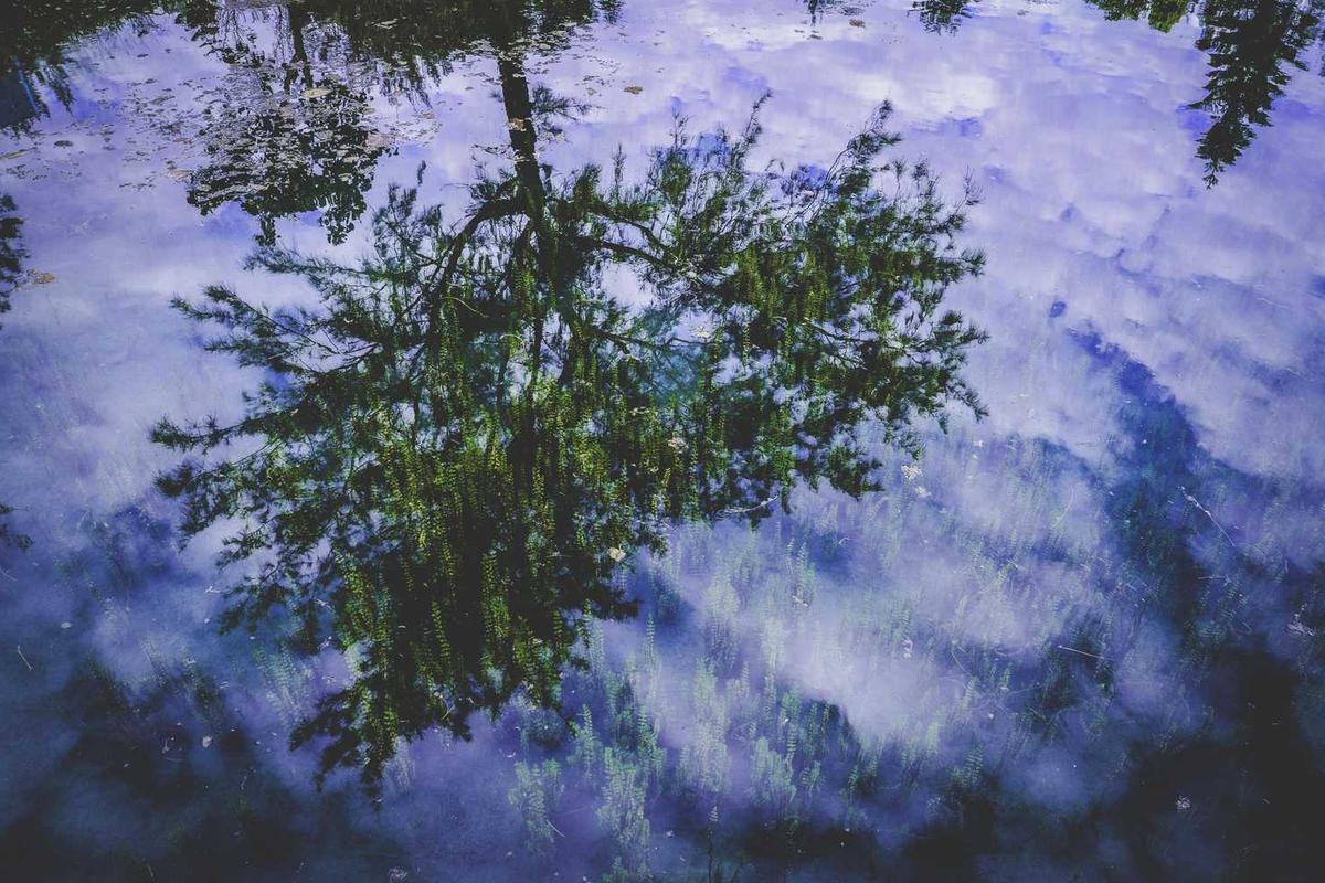 What Makes the Revenge Narrative in Promising Young Woman Different from Traditional Thriller Films?