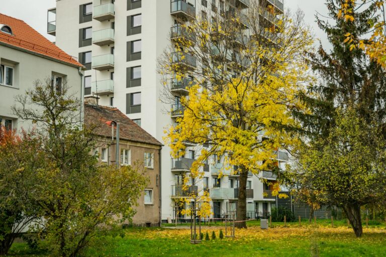 Which Film Is About Identity Falling Apart - Featured image