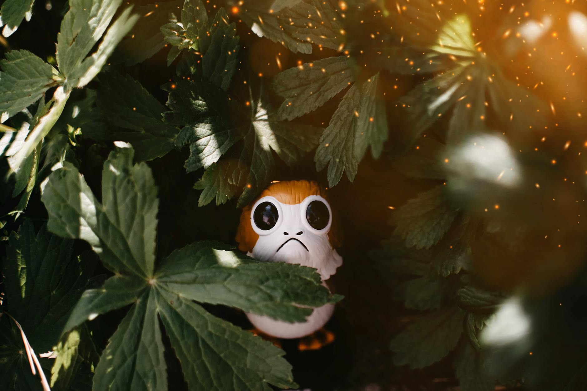 Which Star Wars TV Series Has the Strongest International Viewership?