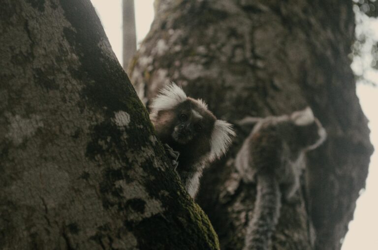 Why Avatar 3 Made Less Than the Other Avatar Movies - Featured image