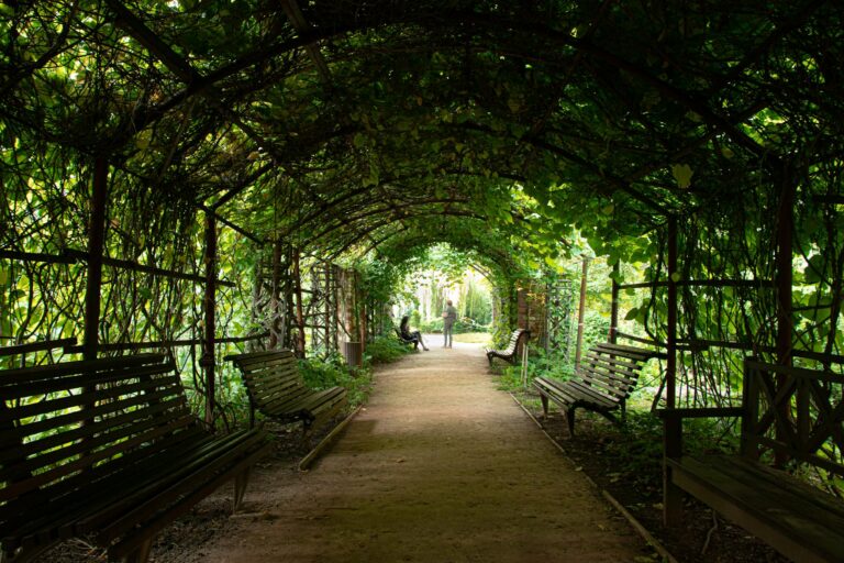 Why Avatar 3 Might Leave Fans Unsatisfied - Featured image