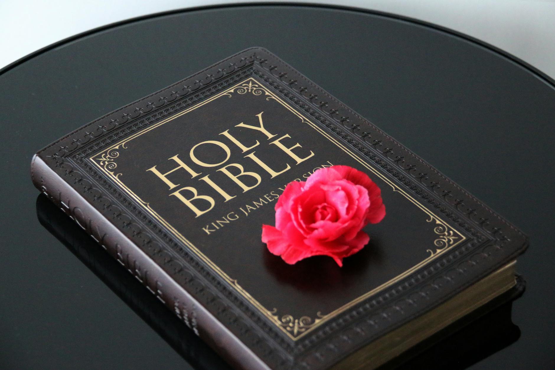 Why James Cameron Believes Hidden Details Improve the Avatar Experience