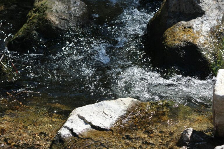 Why Run Away Is Trending On Streaming Platforms - Featured image