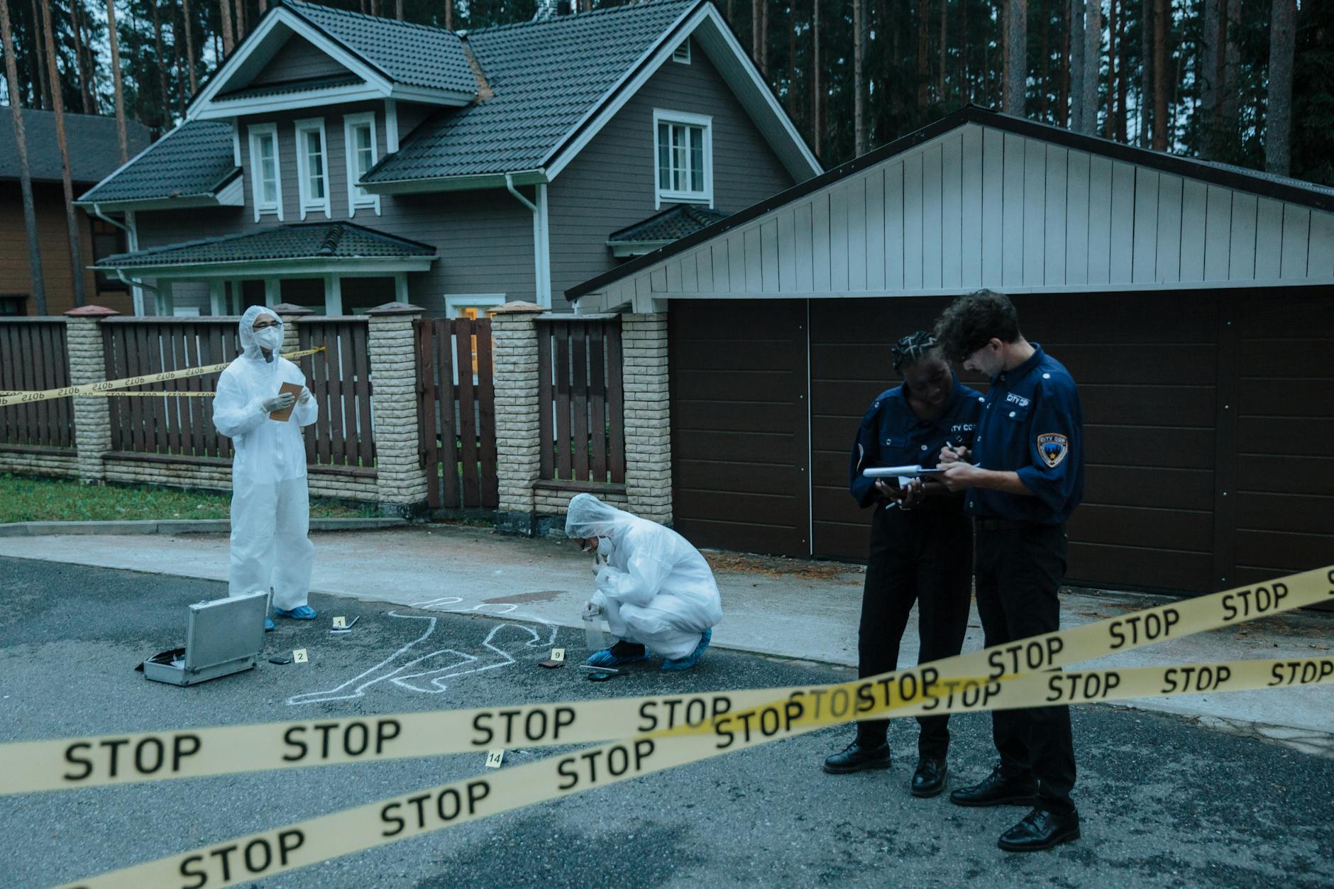 Action and Heist-Driven Crime Narratives