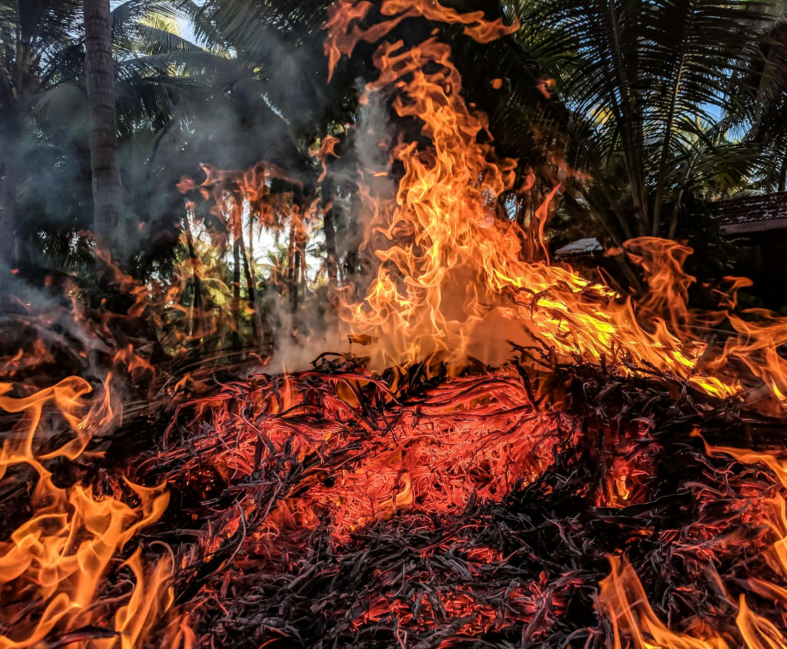 Avatar Fire Ash - Avatar Fire And Ash Villain Role In The Story Explained