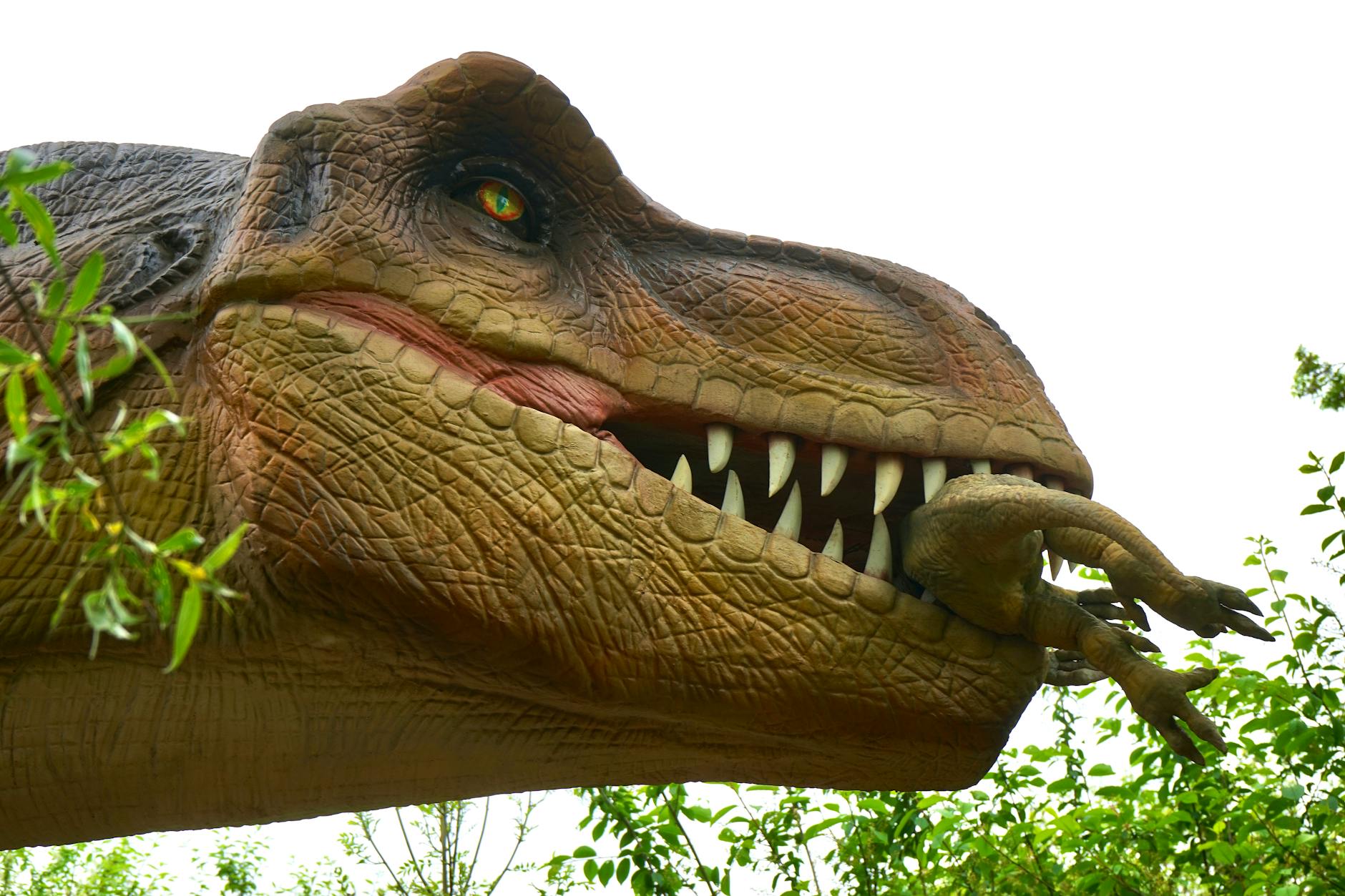 Comparing Jurassic Park's Score to Contemporary and Modern Films