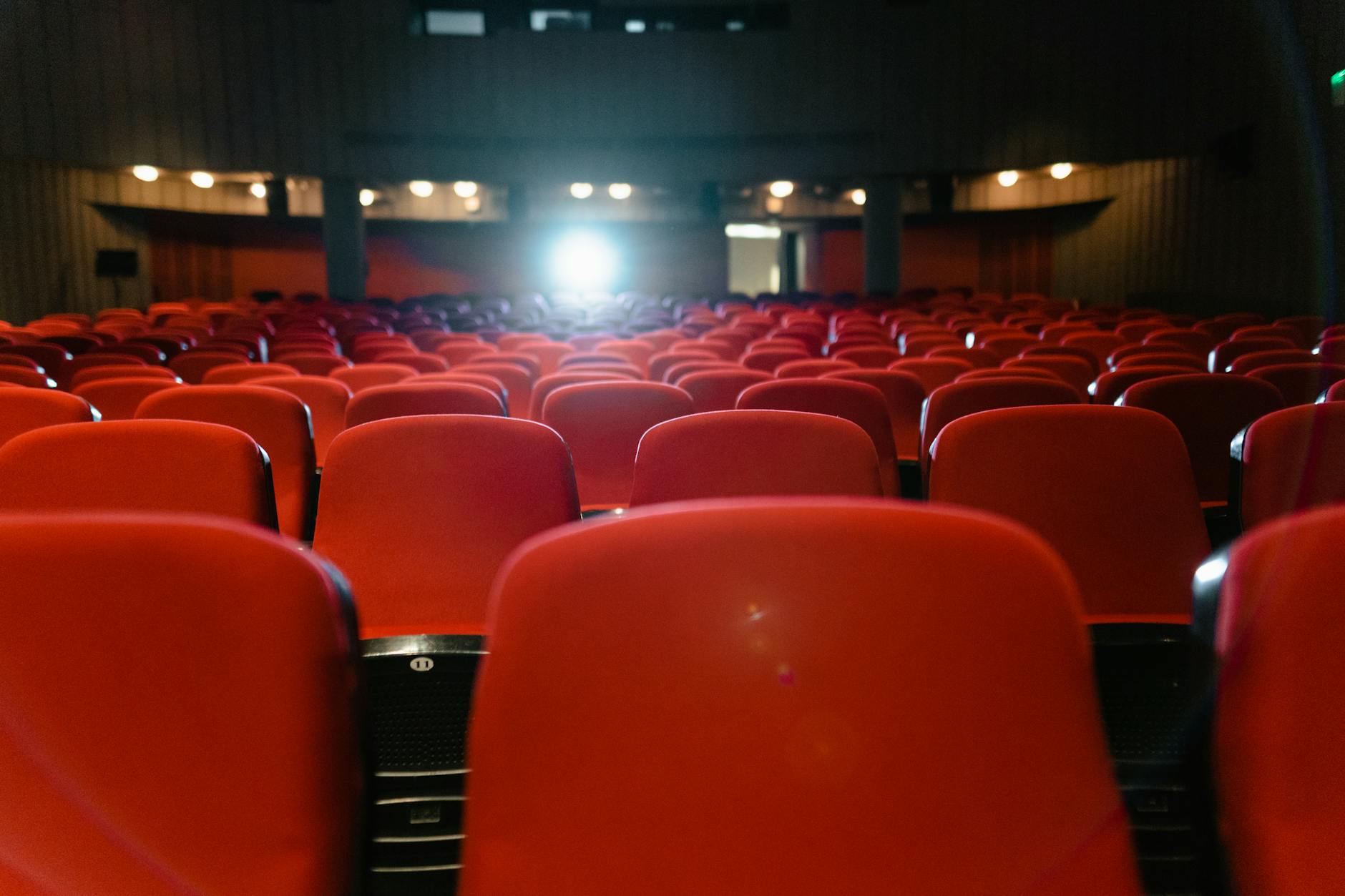 Festival Venues and Where Crime Films Are Finding Their Platform