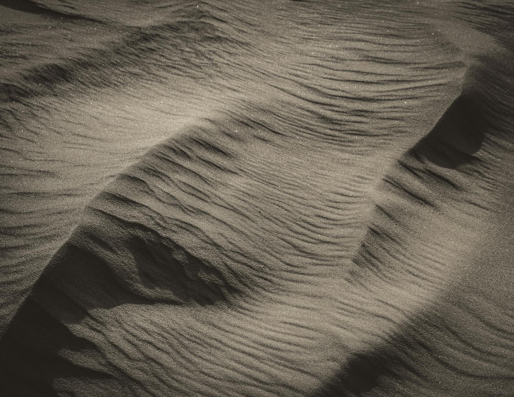 How Does Dune Part Two Compare to the First Dune on Letterboxd?