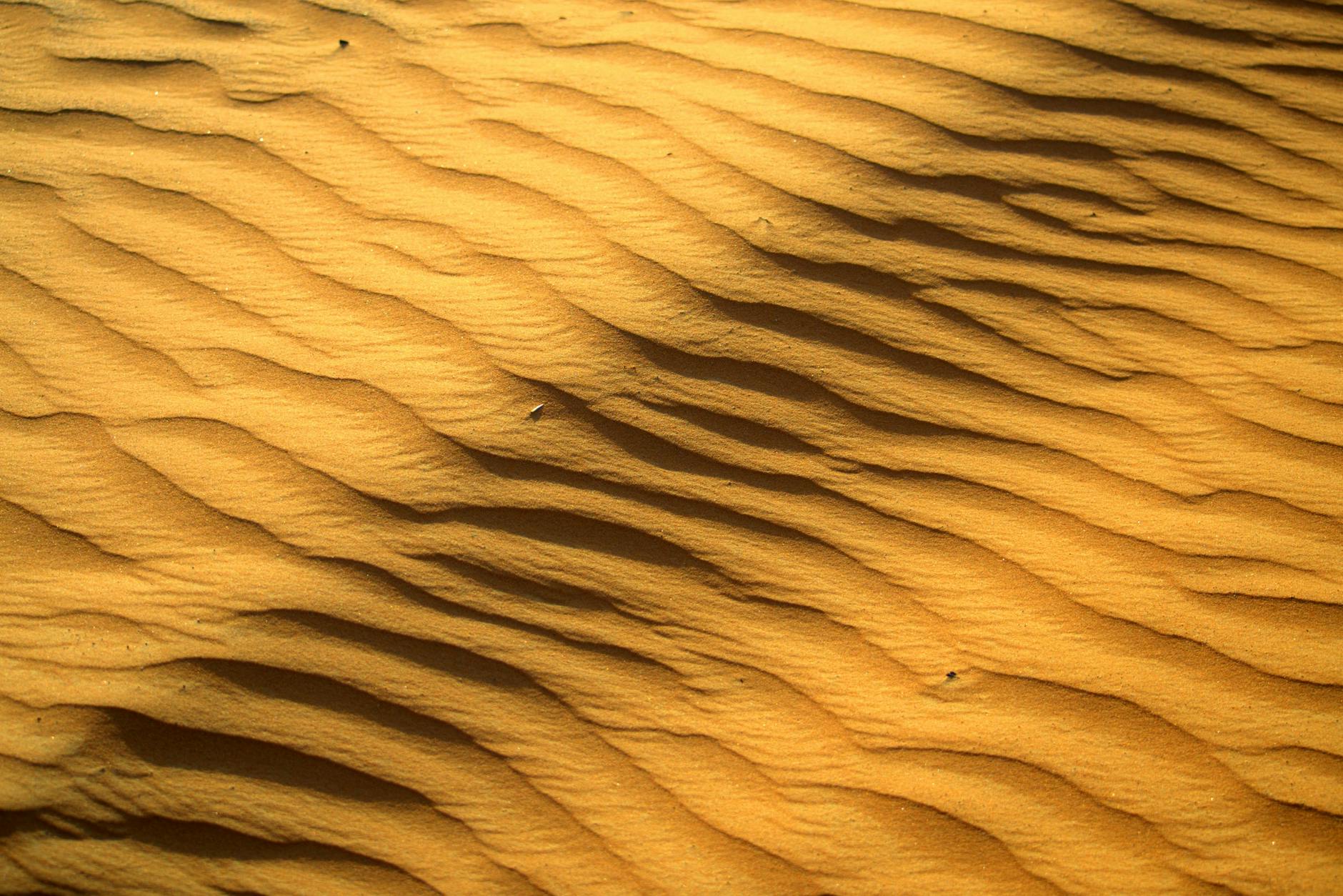 How Does Dune Part Two's Rating Compare to Other Blockbuster Films?