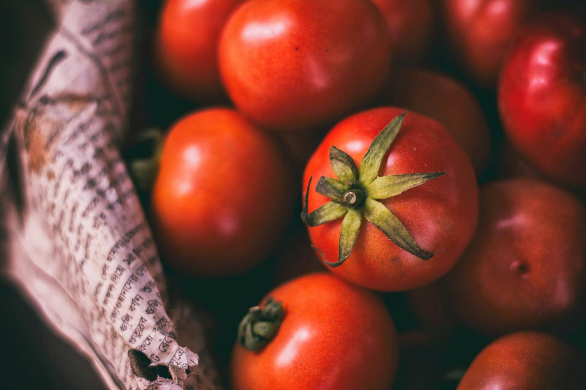How Does Rotten Tomatoes Calculate Its Audience Score?
