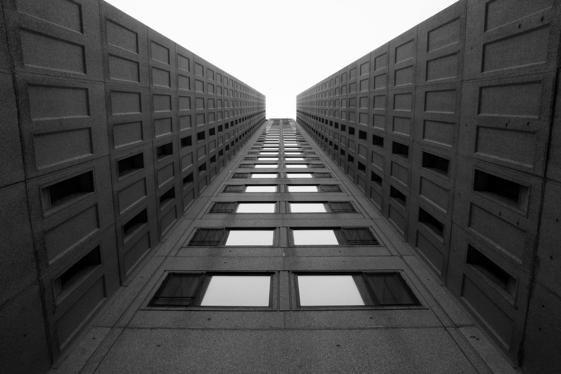 How Does The Brutalist's IMDb Rating Compare to Critical Reception?