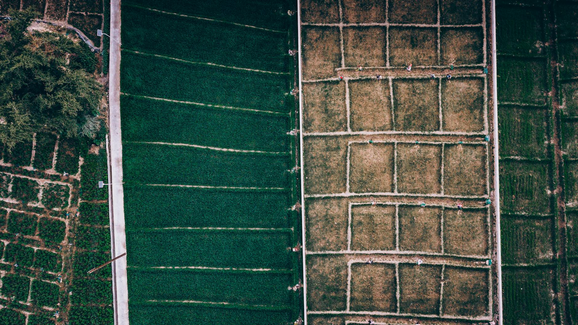 How Emerald Fennell's Wuthering Heights Rewrites Brontë's Ending Into a Loop