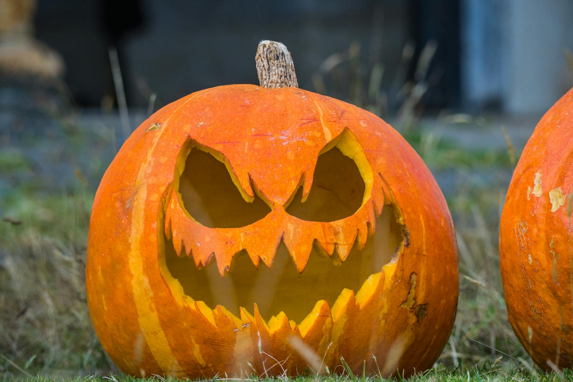 International Horror and Regional Folklore Coming to Global Audiences